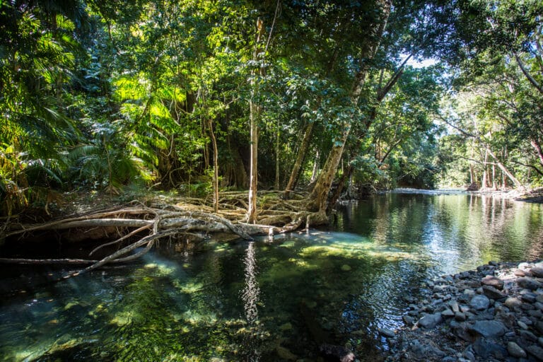 Entlang der Küste von Queensland (PPA007)
