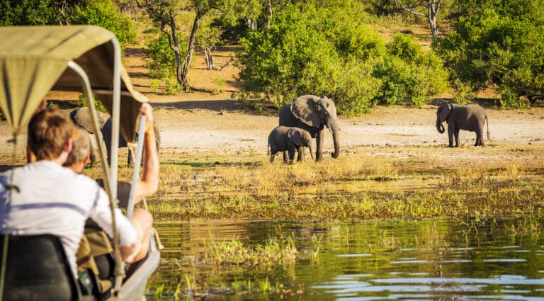 Safari von Kapstadt über Namibia und Botswana bis zu den Victoriafällen (N003)