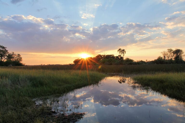 Botswana: Horizonte der Wildnis (S033)