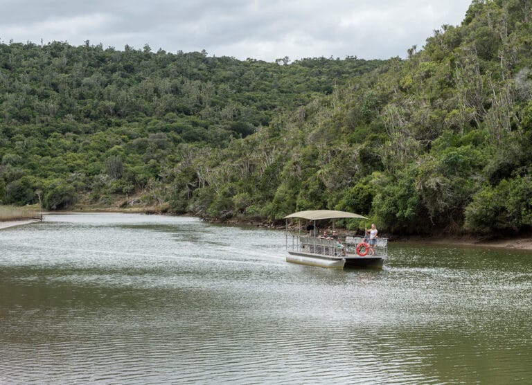 Garden Route Moments – Natur, Tiere & unvergessliche Erlebnisse - Individuell (H016)