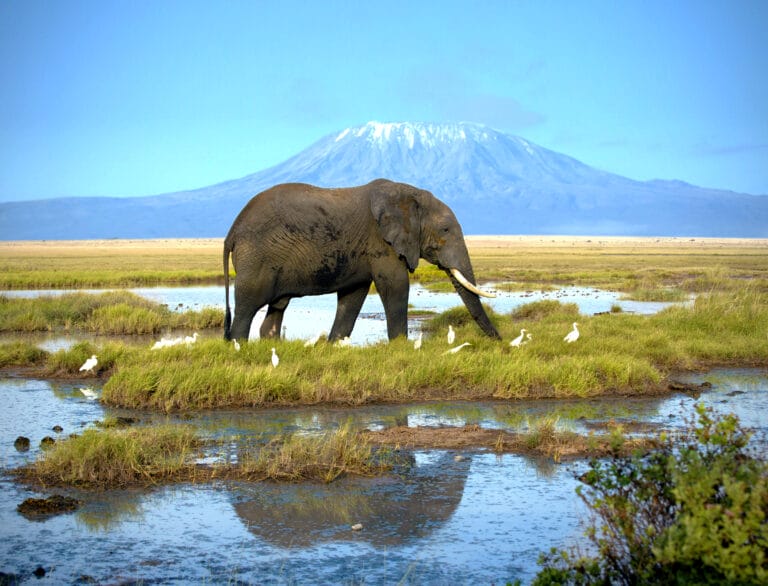 Kenia - von der Savanne bis zum Strand (AE015)