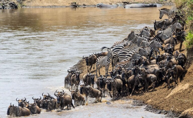 Kenia - von der Savanne bis zum Strand (AE015)
