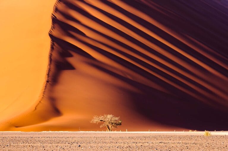 Spektakuläres Namibia (S026)