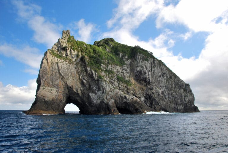 Erlebnis Neuseeland auf Schiene und Straße mit Bay of Islands (TN009)