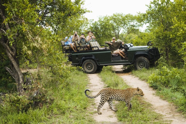 Kapstadt, Garden Route & Safarierlebnisse für Entdecker (H014)