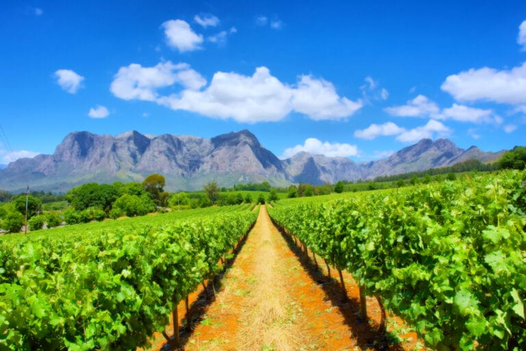 Kapstadt, Garden Route & Safarierlebnisse für Entdecker (H014)