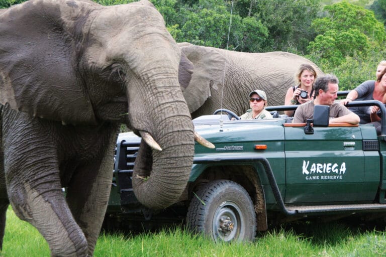 Garden Route Moments – Natur, Tiere & unvergessliche Erlebnisse - Individuell (H016)