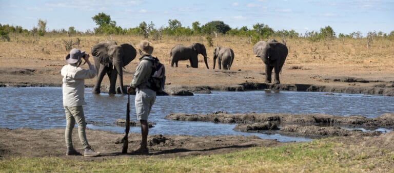 Botswana & Simbabwe – Auf den Spuren der Wildnis (SUN007)