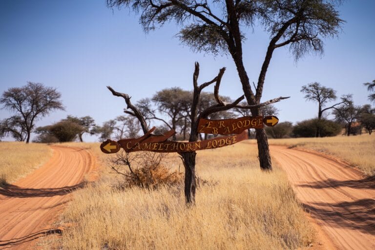 Außergewöhnliches Namibia im Mietwagen (S024)